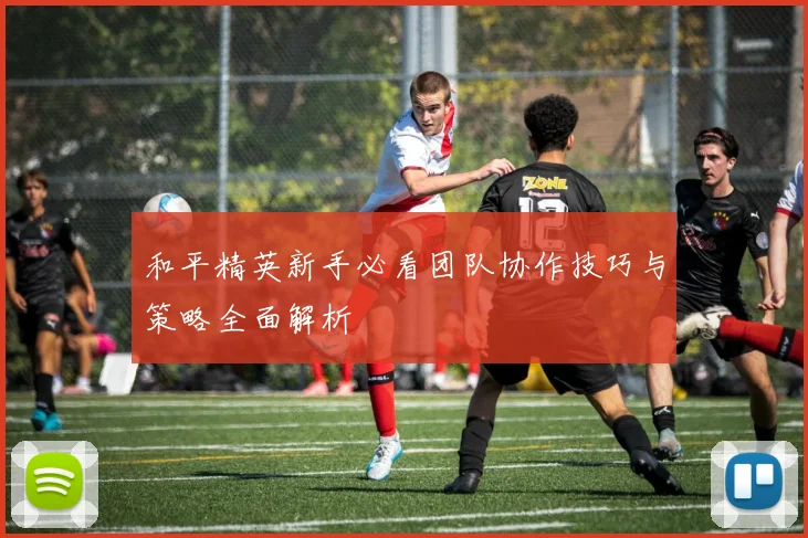 和平精英新手必看团队协作技巧与策略全面解析