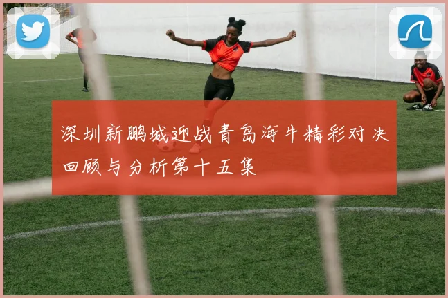 深圳新鹏城迎战青岛海牛精彩对决回顾与分析第十五集
